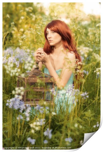 Woman In Bluebell Flowers Print by Amanda Elwell