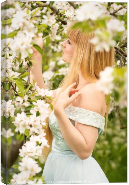Woman In The Orchard In Spring Canvas Print by Amanda Elwell