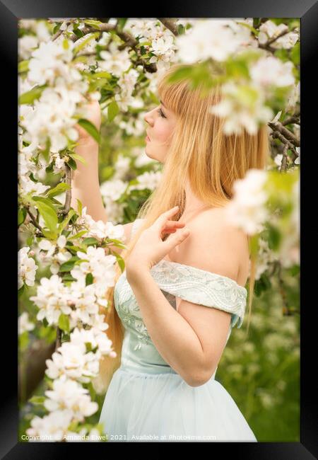 Woman In The Orchard In Spring Framed Print by Amanda Elwell