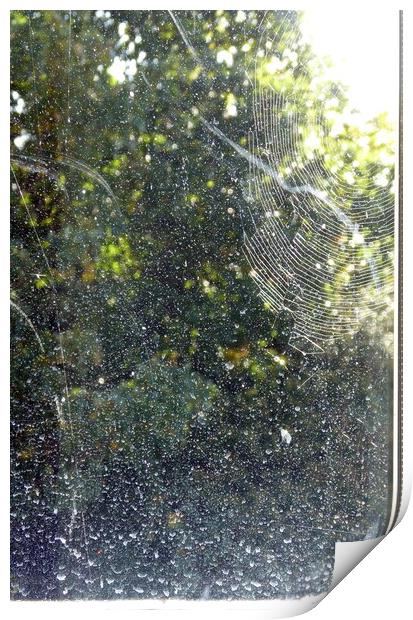 Rain on the Window, or Alien Space Print by Sheila Eames