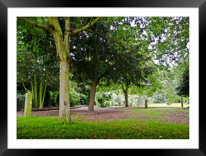 Woodland at Priory Park, Southend on Sea, Essex, UK Framed Mounted Print by Peter Bolton
