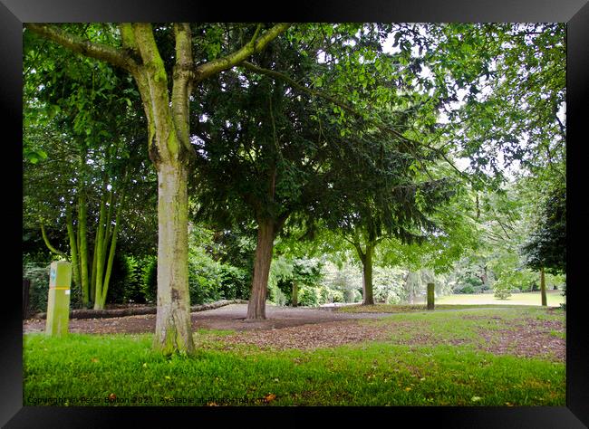 Woodland at Priory Park, Southend on Sea, Essex, UK Framed Print by Peter Bolton
