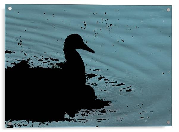 Abstract duck Acrylic by Dan Thorogood