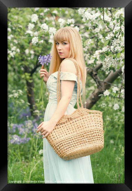 Woman With Basket In Spring Blossom Framed Print by Amanda Elwell