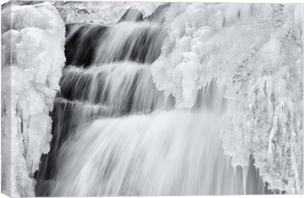 Icicles forming in a waterfall in Quebec, Canada Canvas Print by Colin Woods