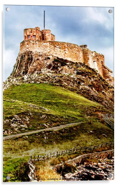 Lindesfarne Castle Acrylic by Martin Davis