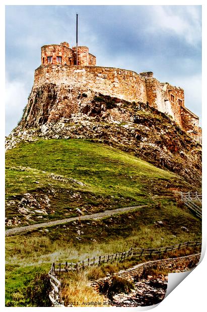 Lindesfarne Castle Print by Martin Davis