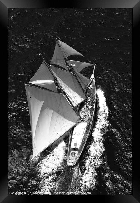 Classic yacht Columbia under full sail. Photograph Framed Print by Ed Whiting