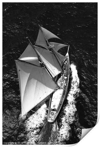 Classic yacht Columbia under full sail. Photograph Print by Ed Whiting