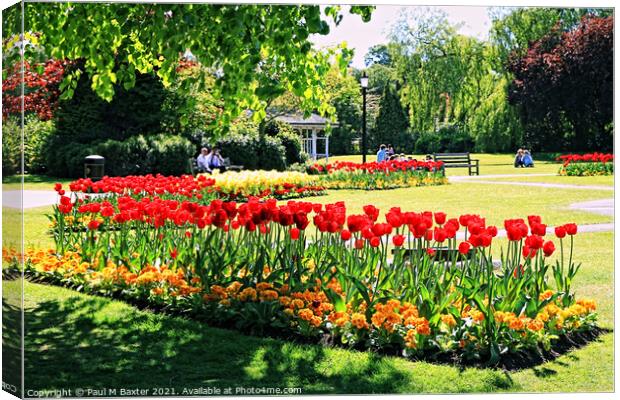 The Valley Gardens in Spring   Canvas Print by Paul M Baxter