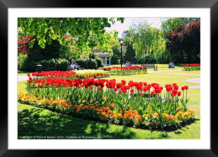 The Valley Gardens in Spring   Framed Mounted Print by Paul M Baxter