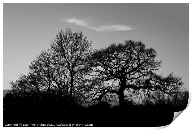 Sunset Silhouettes Print by Leigh Windridge