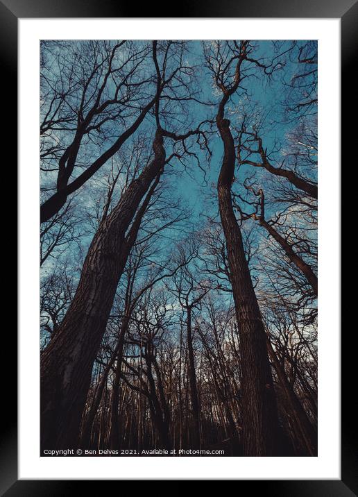 Outstretched trees Framed Mounted Print by Ben Delves