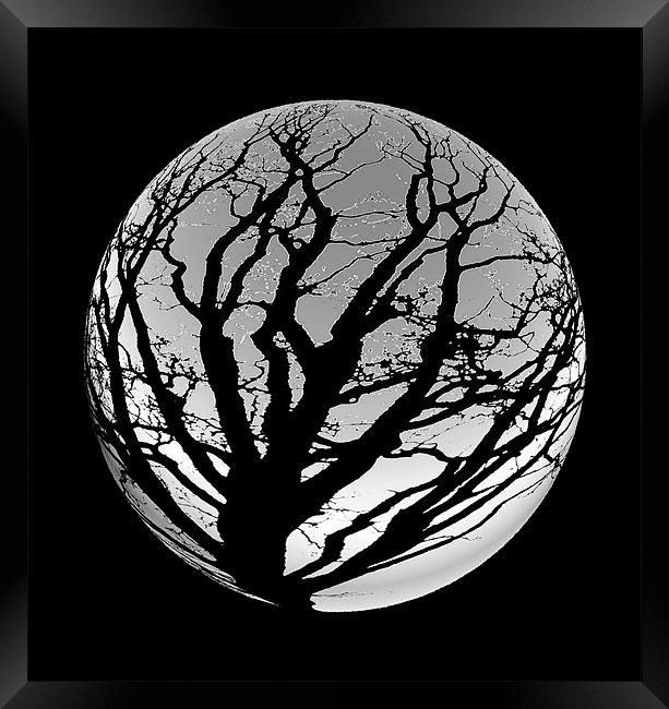Moon Tree Framed Print by les tobin