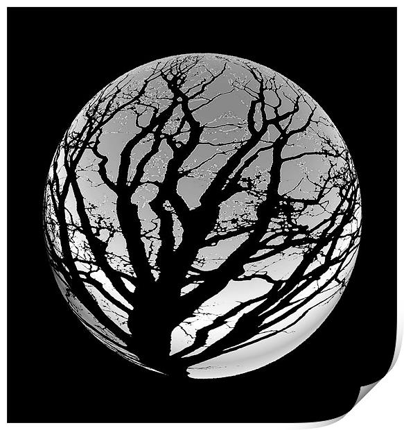 Moon Tree Print by les tobin