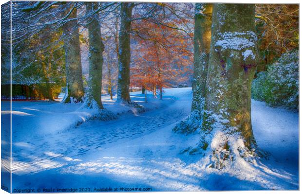 December Snow near Totnes Canvas Print by Paul F Prestidge