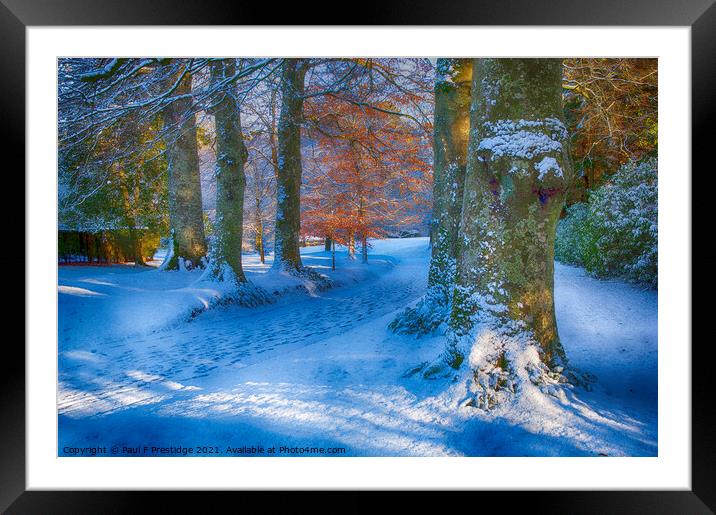 December Snow near Totnes Framed Mounted Print by Paul F Prestidge