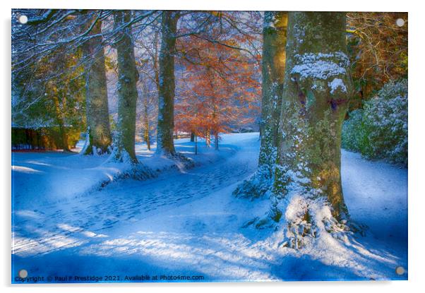 December Snow near Totnes Acrylic by Paul F Prestidge