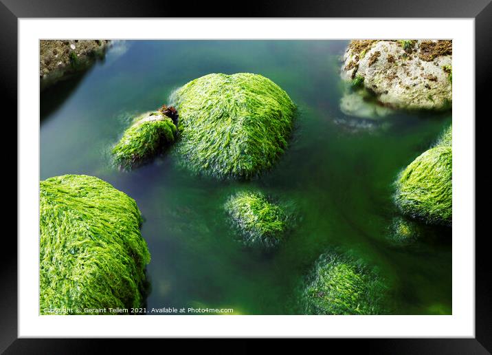Seaweed covered rocks, Alum Bay, Isle of Wight, UK Framed Mounted Print by Geraint Tellem ARPS