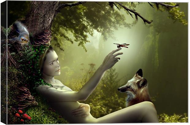 Lady of the Forest Canvas Print by Julie Hoddinott