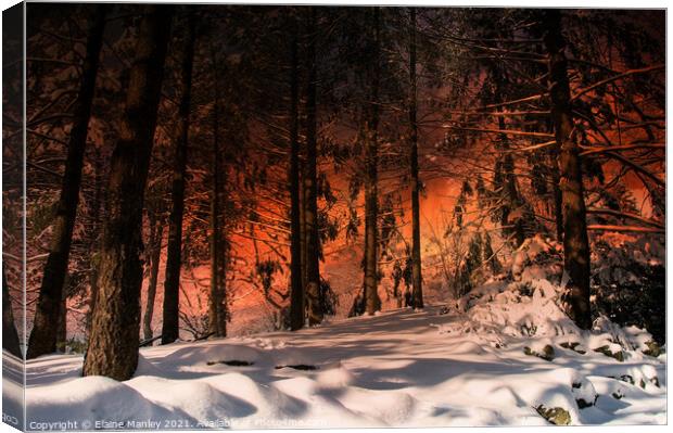 Winter Sunset Canvas Print by Elaine Manley
