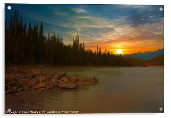 Woodlands of Alberta Canada Acrylic by Elaine Manley