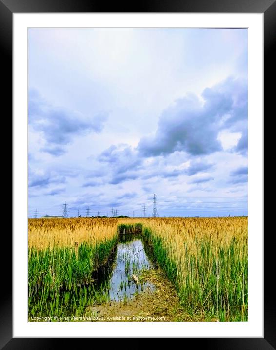 Saltholme Marshes Framed Mounted Print by Tina Veeranna