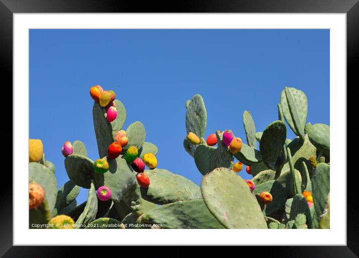 A close up of a cactus Framed Mounted Print by Lello Bruno