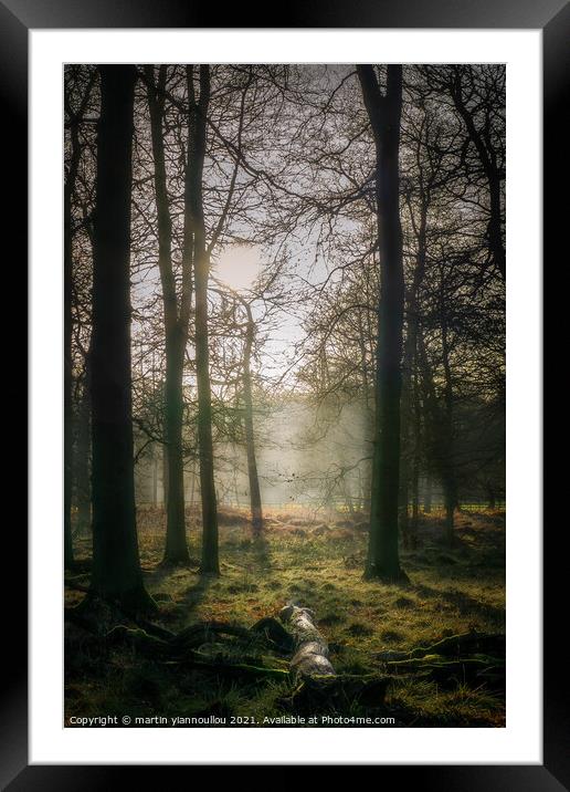 In to the mist. Framed Mounted Print by Martin Yiannoullou