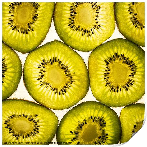 A close up of a kiwi fruit  Print by Daryl Peter Hutchinson