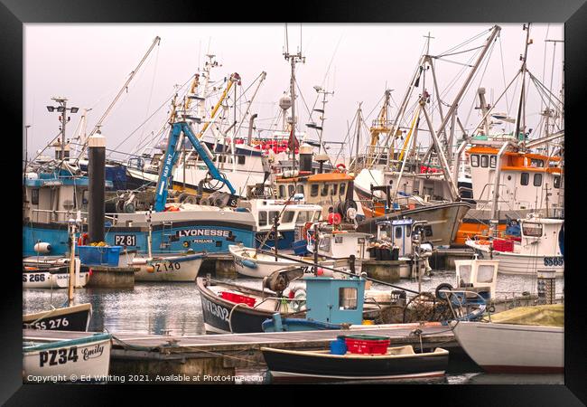 Newlyn fishing boats. Framed Print by Ed Whiting