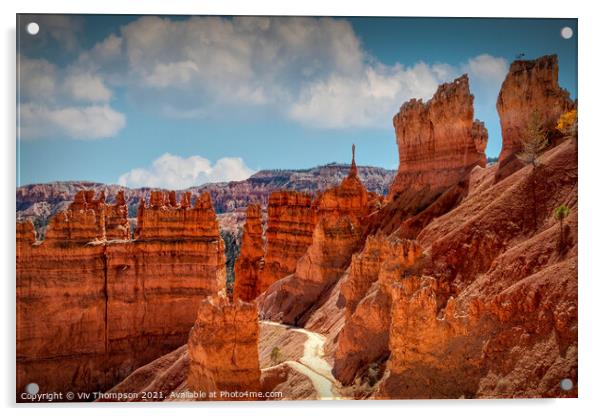 Descent into Bryce Canyon Acrylic by Viv Thompson