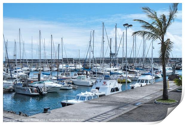 Leisure boats in the Port of  Funchal Madeira Print by Diana Mower