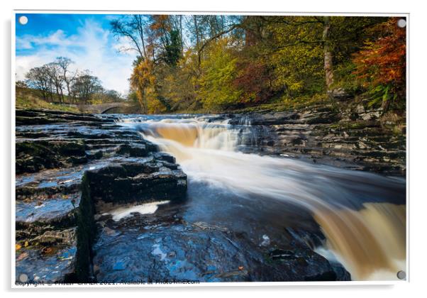 Stainforth foss  198 Acrylic by PHILIP CHALK