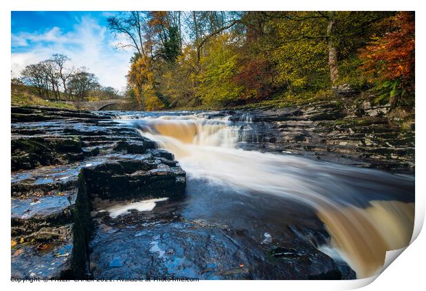 Stainforth foss  198 Print by PHILIP CHALK