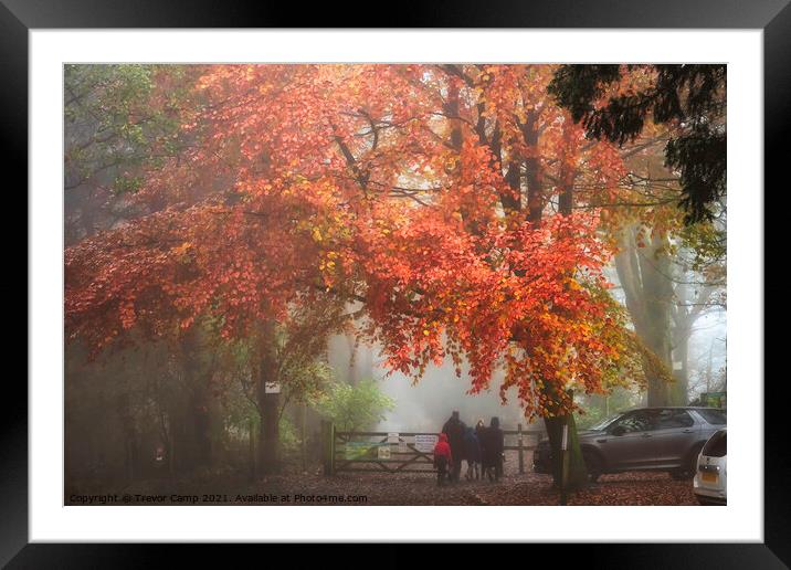 A Walk in the Autumn Mist Framed Mounted Print by Trevor Camp