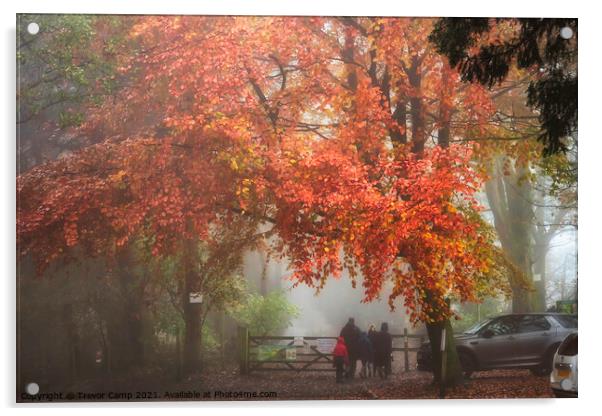 A Walk in the Autumn Mist Acrylic by Trevor Camp