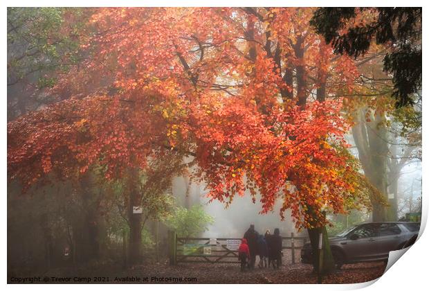 A Walk in the Autumn Mist Print by Trevor Camp