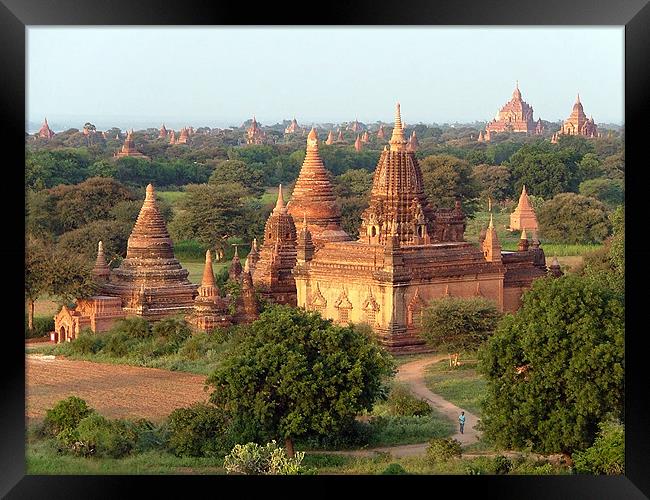 Temple Town, Bagan, Myanmar (Burma) Framed Print by Serena Bowles