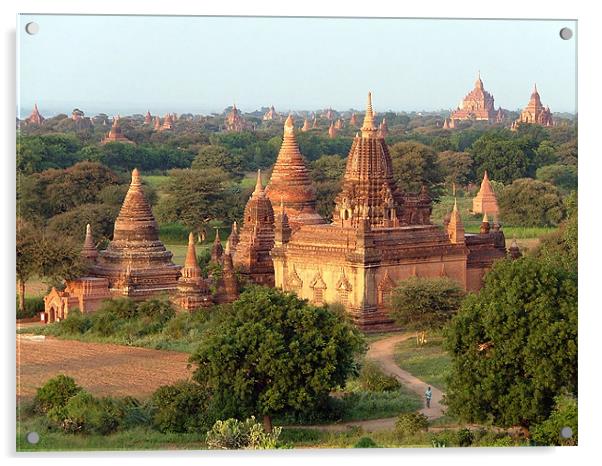 Temple Town, Bagan, Myanmar (Burma) Acrylic by Serena Bowles