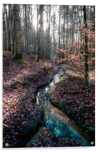 Woodland River Acrylic by Mark Jones