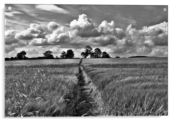 A path across the field. Acrylic by mick vardy