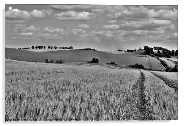 The humpy field. Acrylic by mick vardy