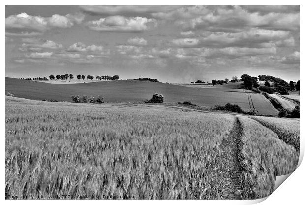  The humpy field. Print by mick vardy