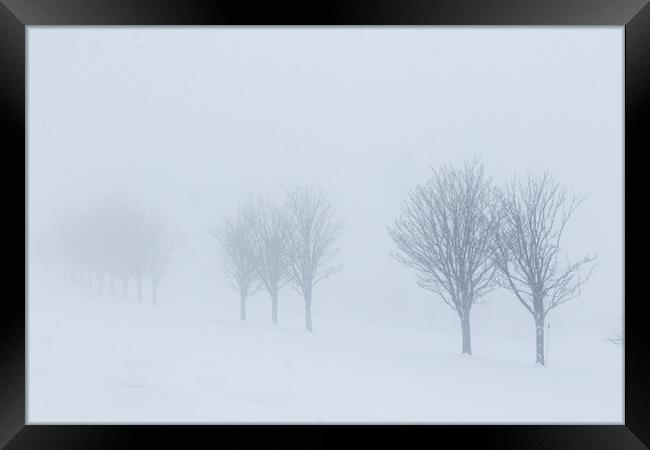 Trees in the snow Framed Print by chris smith