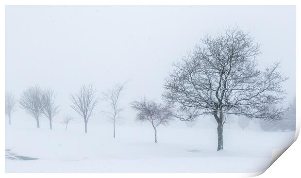 Trees in the snow Print by chris smith