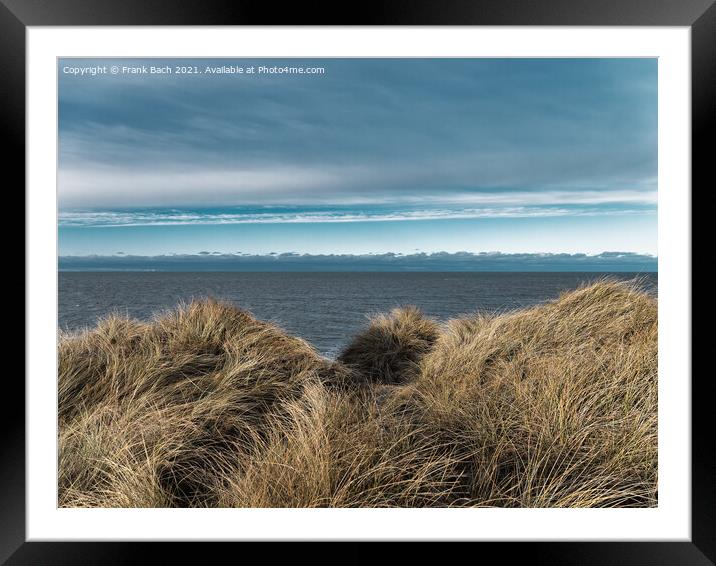 Dunes at the North Sea coast in rural Denmark Framed Mounted Print by Frank Bach