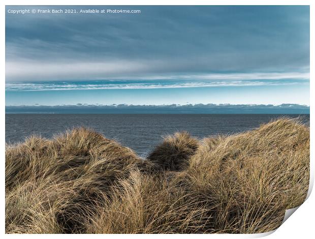 Dunes at the North Sea coast in rural Denmark Print by Frank Bach