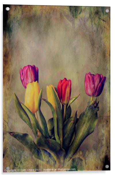 "Old Master" tulips Acrylic by Colin Chipp