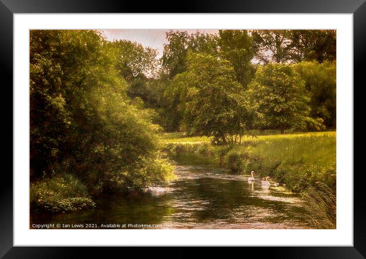 Swans On The Itchen a Digital Painting Framed Mounted Print by Ian Lewis